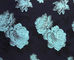 El telar jacquar floral TC de la tela Hilado-teñió H/R los 21.0cm 460T/83%T/17%C/185gsm