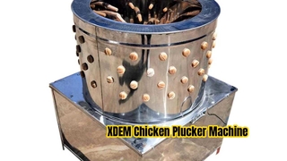 XDEM Máquina desplumadora de pollos comercial, depiladora de aves de corral de acero inoxidable de 60 barriles para pollo y pato