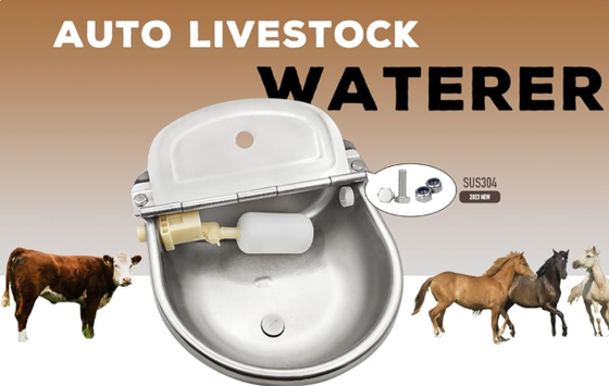 Agua de ganado en polvo revestido de resistente a la corrosión de agua potable fácil de conectar con el sistema de suministro de agua de la granja para el uso de graneros de vacas