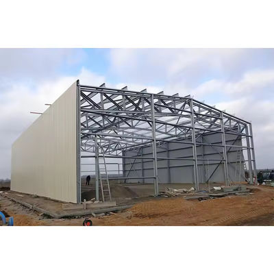 XDEM Estructura de acero ligera prefabricada Taller de producción de almacenes Fabricante de cobertizos de pollo