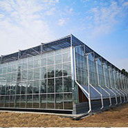 XDEM Estructura prefabricada de acero ligero Almacenamiento Edificios de almacén Taller Villa invernadero