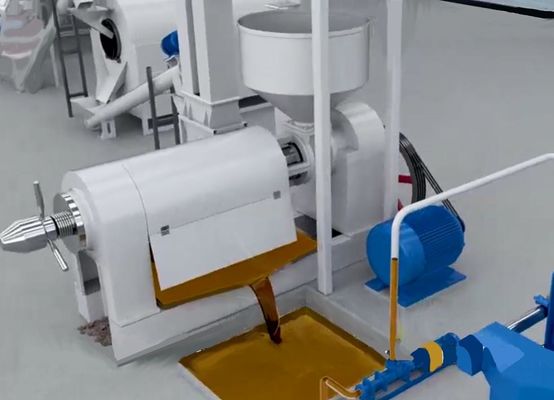 XDEM Maquinaria de prensa de aceite de trituración de cáscara de núcleo de palma y sistema automático de agrietamiento y separación de palma