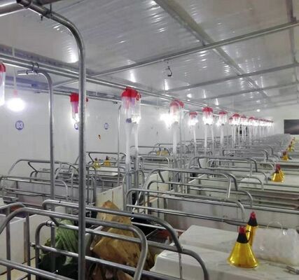Livestock Fattening Feed Line Fully Automatic Feeding Line Equipment Livestock Equipment Manufacturer