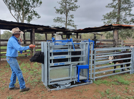 Equipo de ganado en polvo revestido resistente a la corrosión Aplastador de ganado para bajo mantenimiento Retención de animales Paracaídas para vacas para uso veterinario en granjas