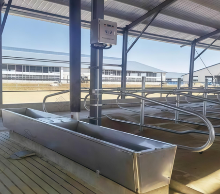 Agua de ganado en polvo revestido de resistente a la corrosión de agua potable fácil de conectar con el sistema de suministro de agua de la granja para el uso de graneros de vacas