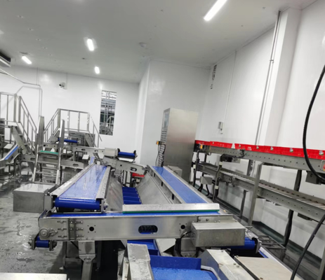 Slaughtering Equipment Semi-Automatic Stainless Steel PLC Control 220V/380V For Pig Cattle Sheep Complete Abattoir Processing Line CE Certified