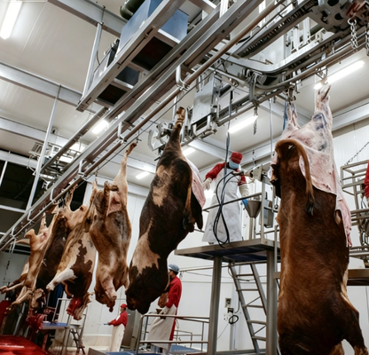 Slaughtering Equipment Semi-Automatic Stainless Steel PLC Control 220V/380V For Pig Cattle Sheep Complete Abattoir Processing Line CE Certified