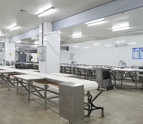 Equipo de sacrificio de acero inoxidable con control PLC y norma GB para un procesamiento eficiente de la carne