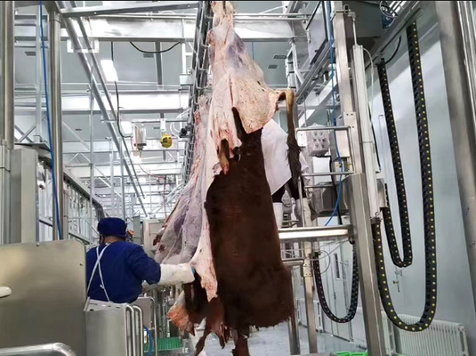 Equipo de sacrificio de acero inoxidable con control PLC y norma GB para un procesamiento eficiente de la carne