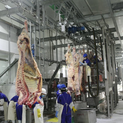 Equipo de sacrificio de acero inoxidable con control PLC y norma GB para un procesamiento eficiente de la carne