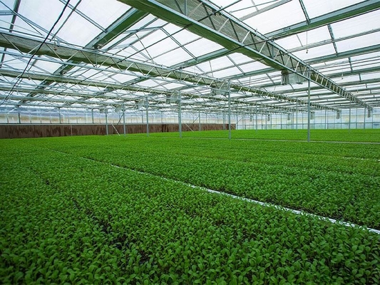 Invernadero vegetal agrícola ligero prefabricado Q235 ISO9001 de la estructura de acero